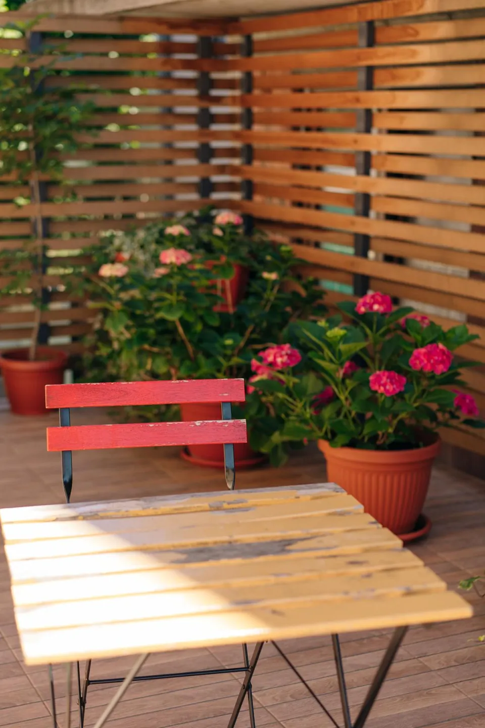 A table and a red bench among pink flowers on our terrace